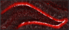 GD-newborn-neurons.png