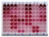 Pyrogentest