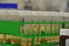 Ptrl_Ulm_Proben