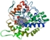 Cytochrom P450 Struktur