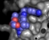 Molekülmodell mit blauen, roten und grauen Molekülbausteinen. Das Modell zeigt wie sich das farbige Molekül in eine Fuge des grauen Moleküls einfügt. Solche Wechselwirkungen sind wichtig bei der Suche nach Pharmawirkstoffen.
