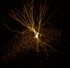 Koernerzell-Interneuron-paar