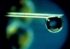 lilly-firstdrophigh.jpg