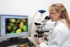 Mikrobiologielabor Hochschule Sigmaringen