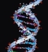 DNA-Test_Teaser