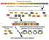 Chromothripsis