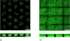 Laser-Scan