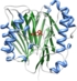 Chorismatase FkbO_Struktur-1