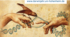Poster_Darwinfinken