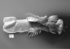 Pomatoceros_lamarckii
