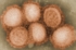 Influenza